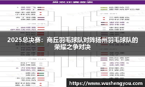 2025总决赛：商丘羽毛球队对阵扬州羽毛球队的荣耀之争对决